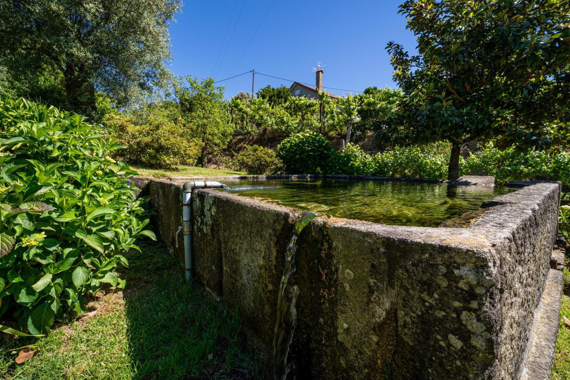 Eido Oliveira - Casa De Campo - Ponte De Lima Anais 外观 照片